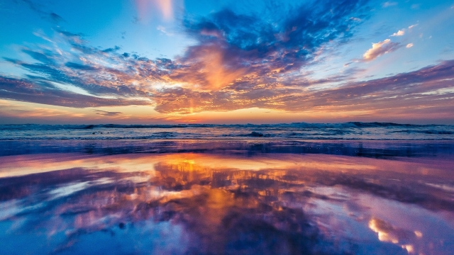 米乐M6体育：乒乓球台上的风景